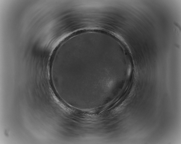 X0000100880935200806201243