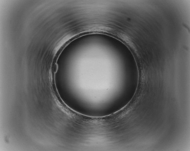 X0000100880936200806201243