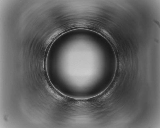 X0000100880938200806201243
