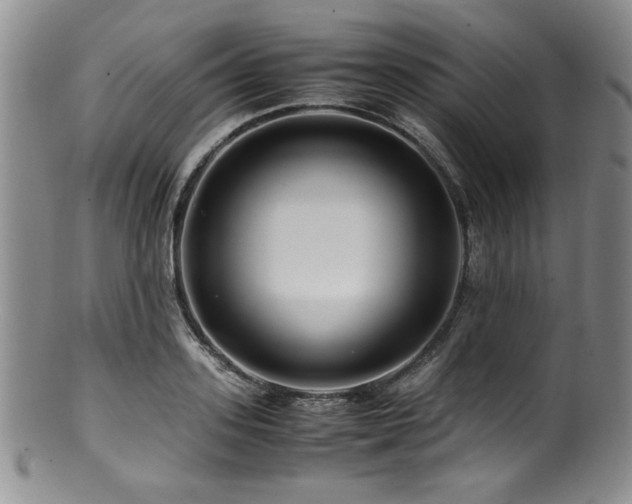 X0000100880939200806201243