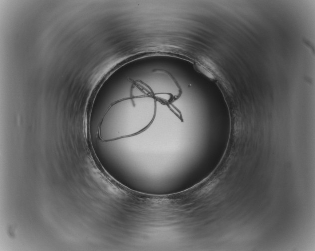 X0000100880940200806201243