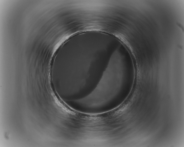 X0000100880941200806201243