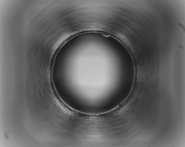 X0000100880942200806201243