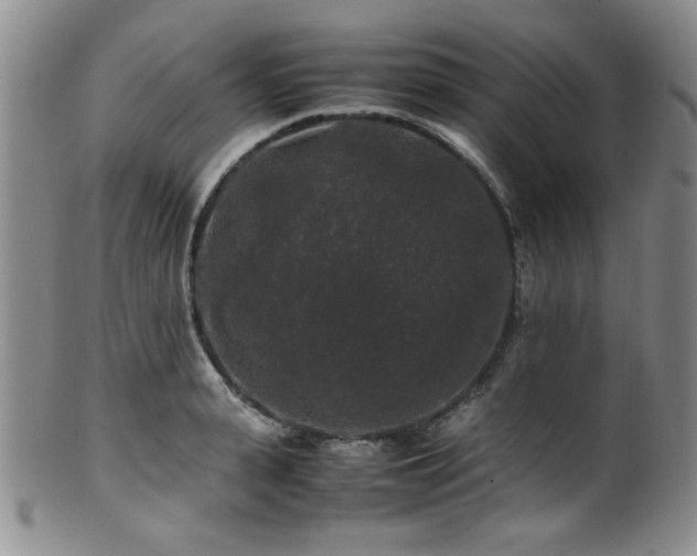X0000100880943200806201243