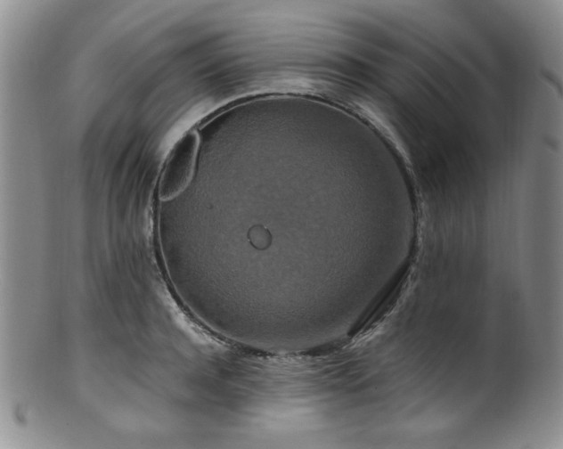 X0000100880944200806201243