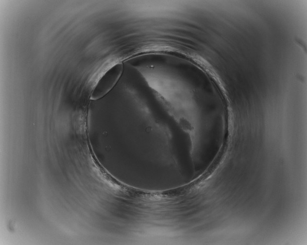 X0000100880945200806201243