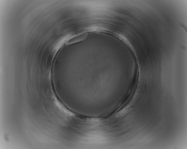X0000100880946200806201243