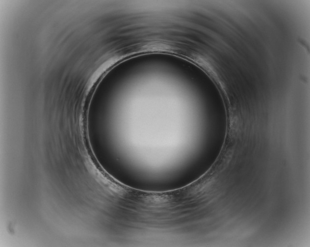 X0000100880947200806201243