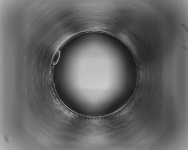 X0000100880948200806201243