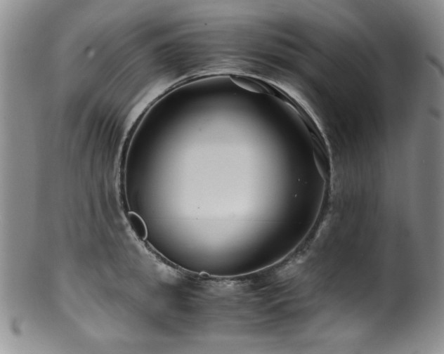 X0000100880949200806201243