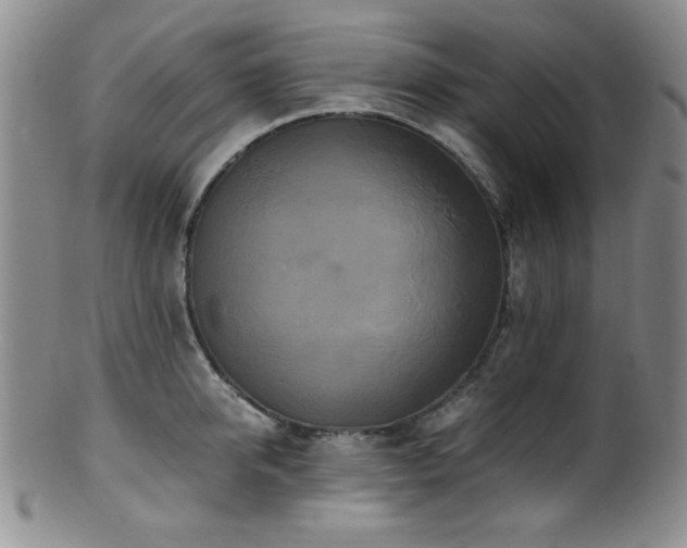 X0000100880950200806201243