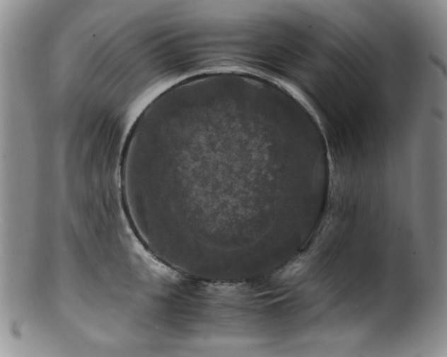 X0000100880951200806201243