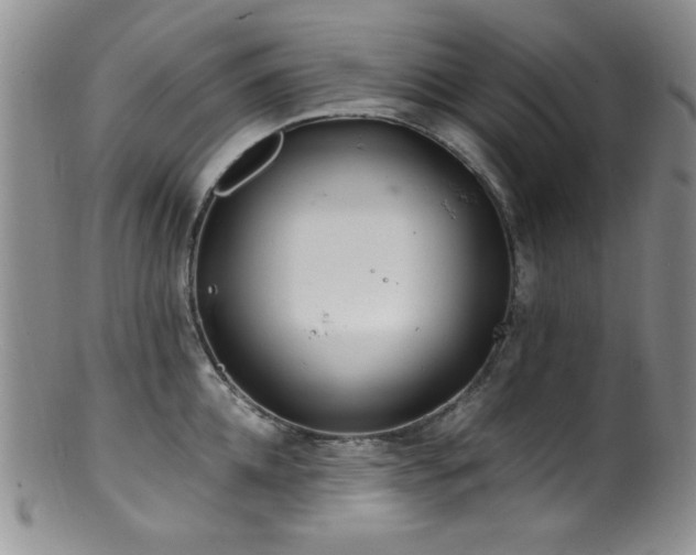 X0000100880952200806201243
