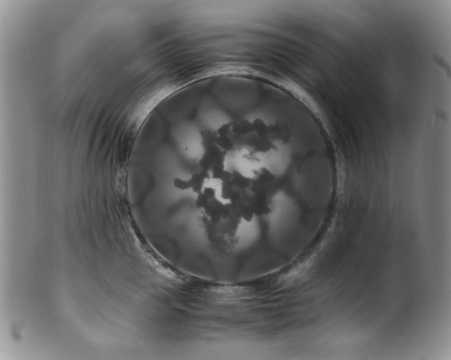 X0000100880953200806201243