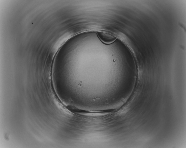 X0000100880954200806201243