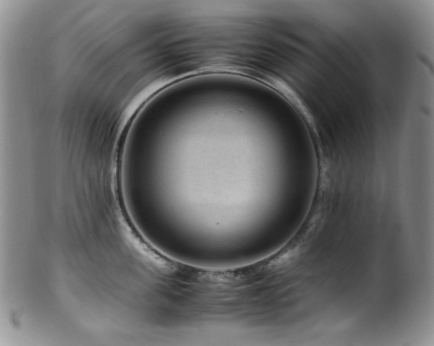 X0000100880955200806201243