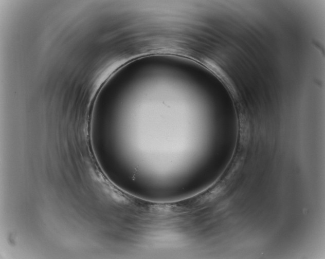 X0000100880956200806201243