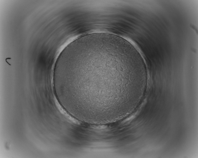 X0000100880957200806201243