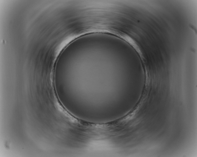 X0000100880958200806201243
