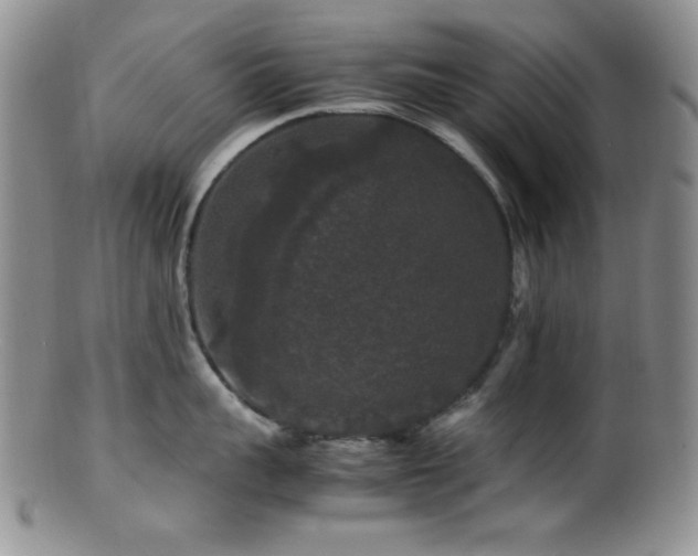 X0000100880959200806201243