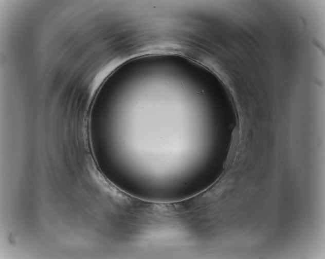 X0000100880960200806201243