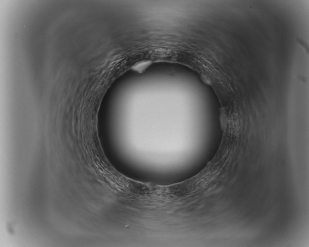 X0000100880961200806201242