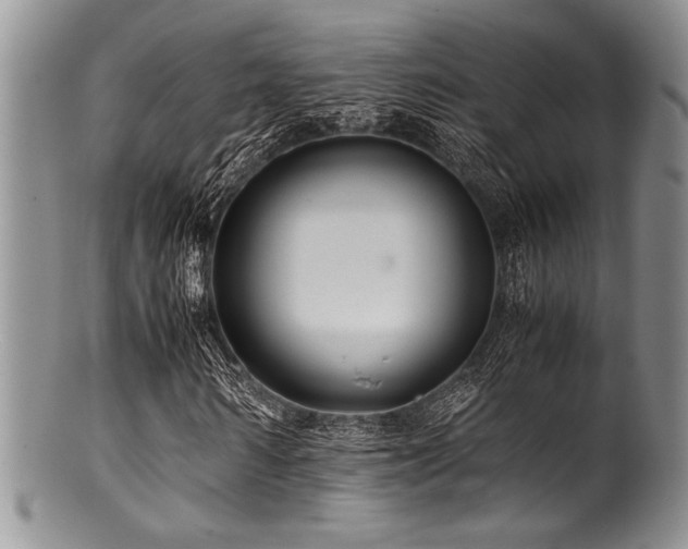 X0000100880962200806201242