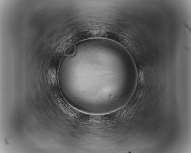 X0000100880963200806201242
