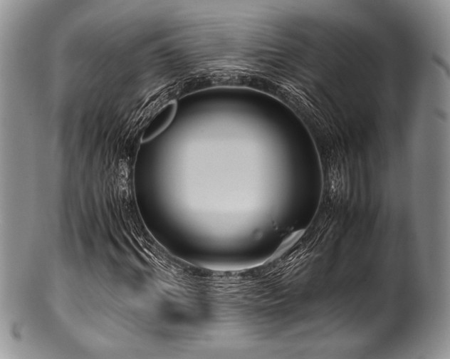 X0000100880964200806201242