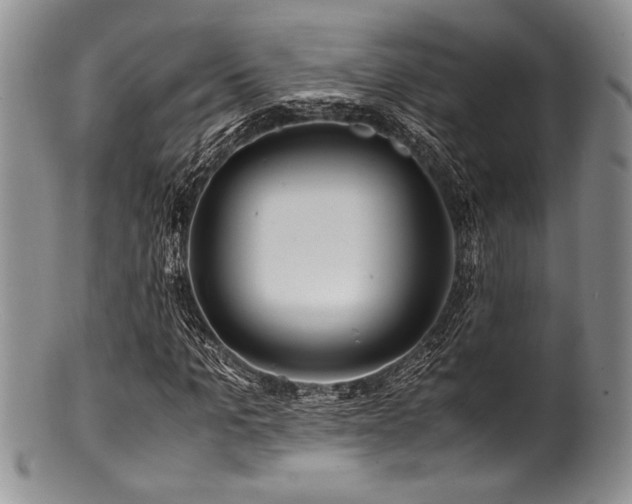 X0000100880965200806201242