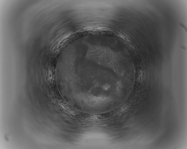 X0000100880966200806201242
