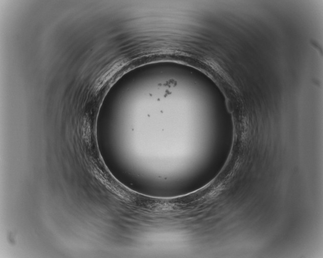 X0000100880969200806201242