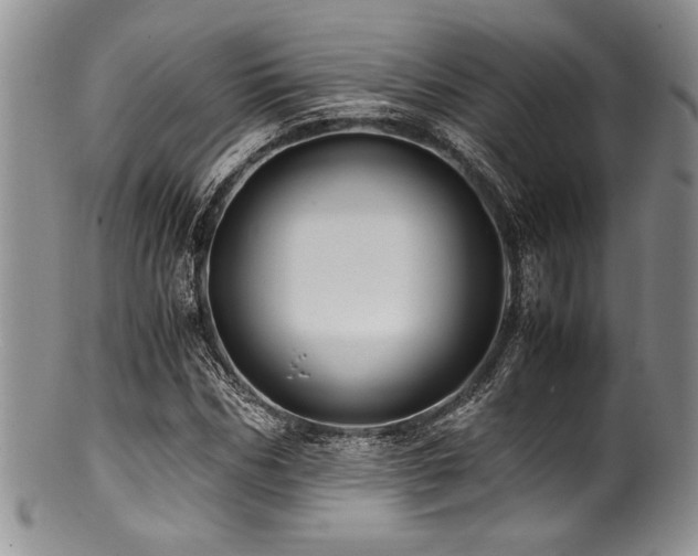 X0000100880970200806201242