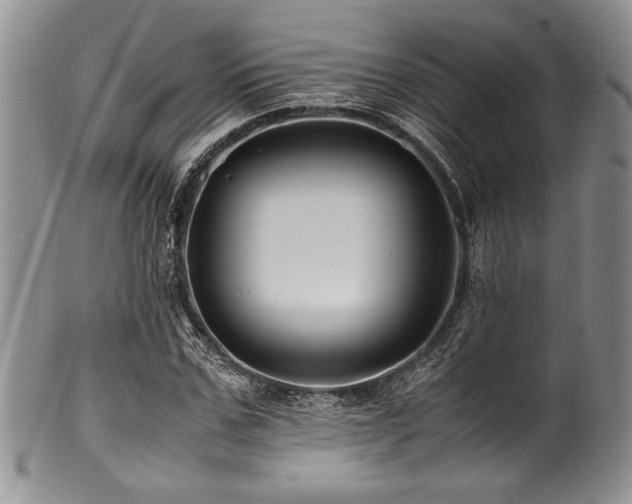 X0000100880971200806201242
