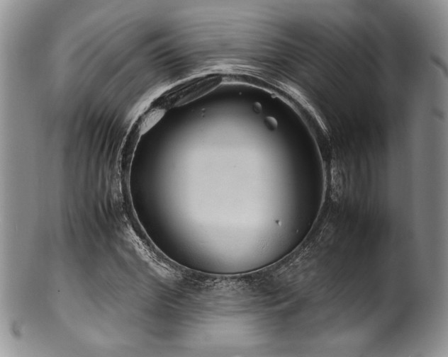 X0000100880972200806201242