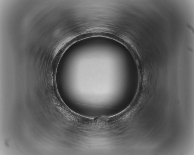 X0000100880973200806201242