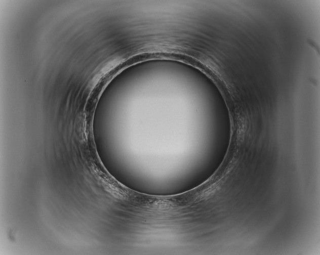 X0000100880974200806201242
