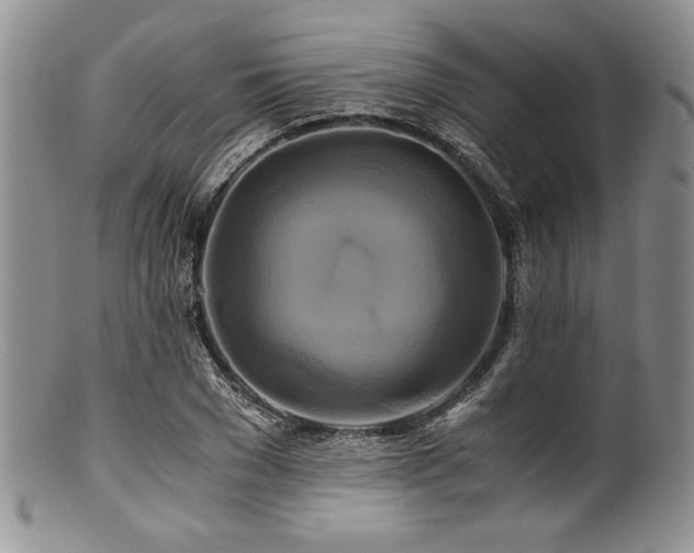X0000100880977200806201242
