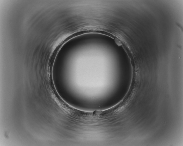 X0000100880981200806201242