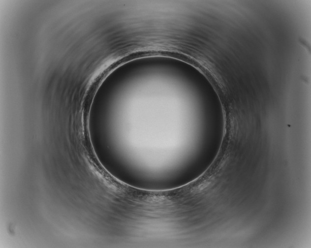 X0000100880982200806201242