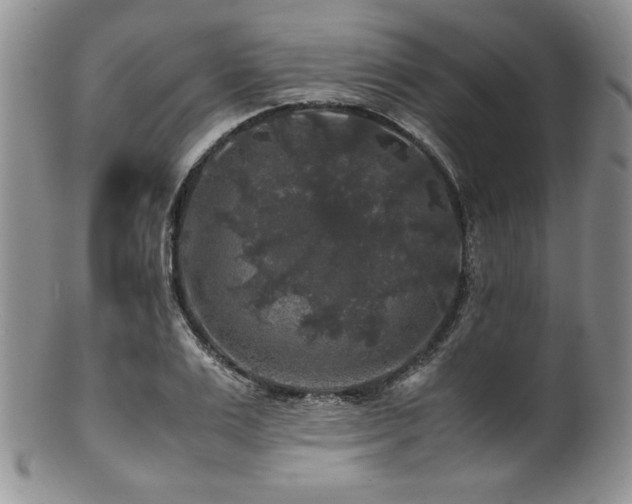 X0000100880983200806201242