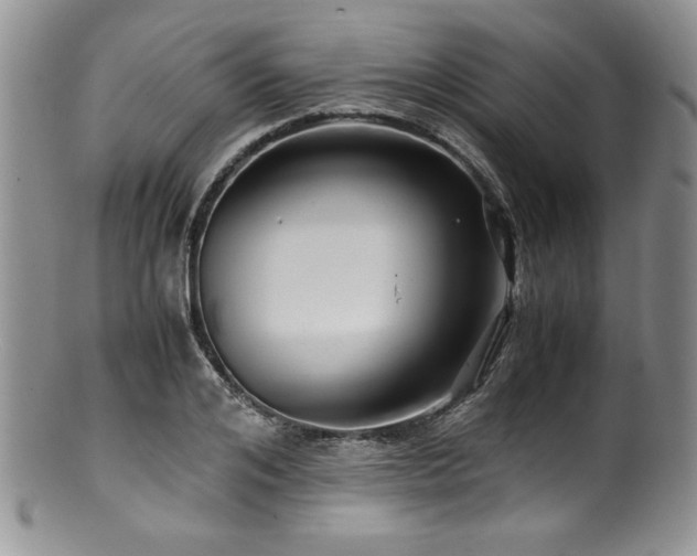 X0000100880984200806201242