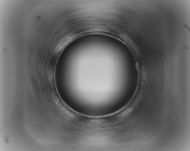 X0000100880985200806201242