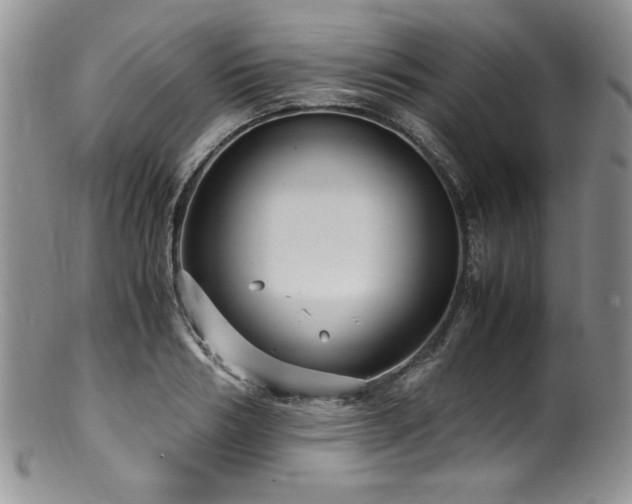 X0000100880986200806201242