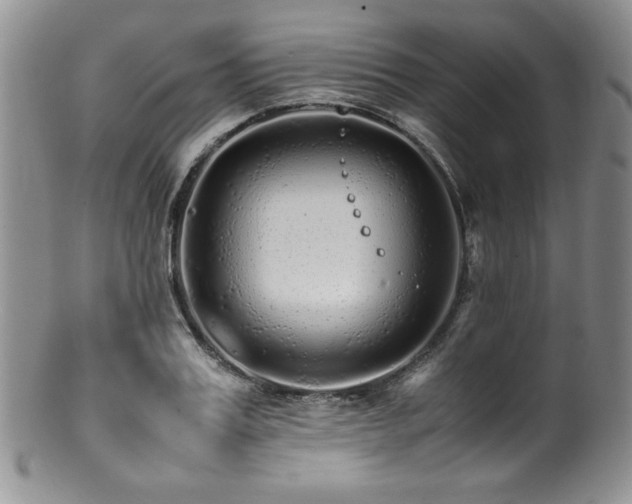 X0000100880987200806201242
