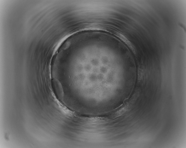 X0000100880988200806201242