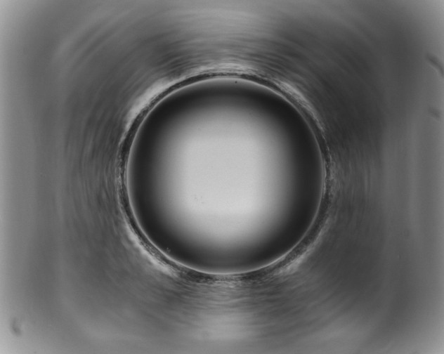 X0000100880989200806201242