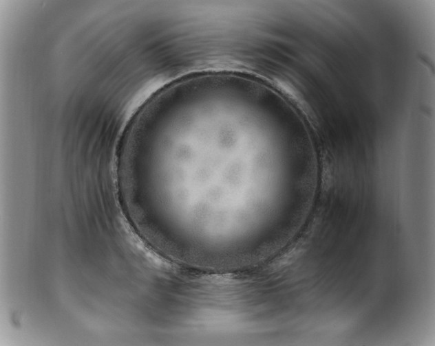 X0000100880990200806201242