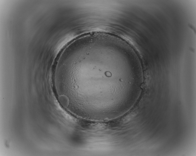 X0000100880991200806201242