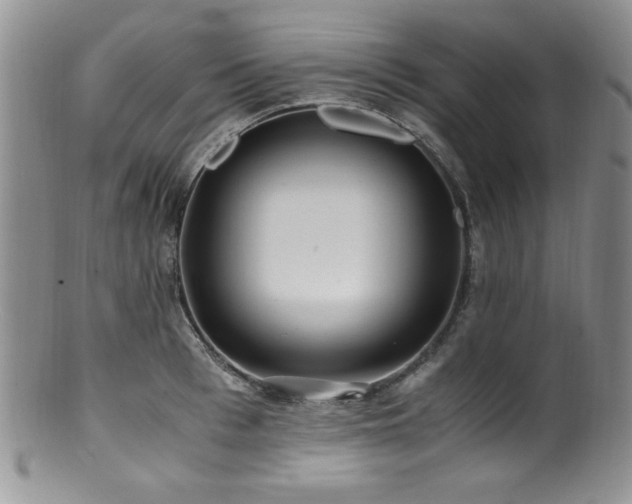 X0000100880993200806201242